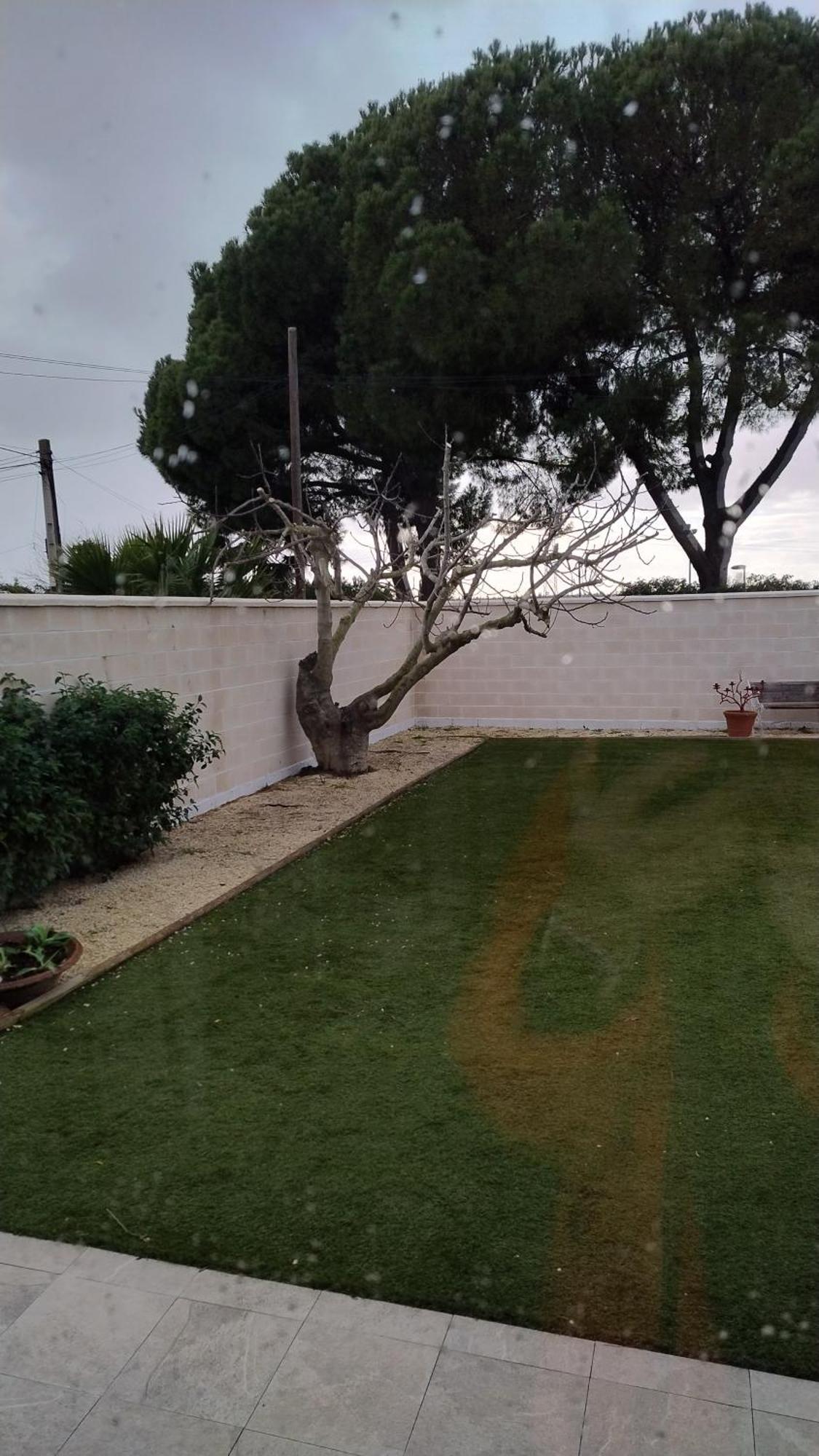 Casa Oliva 52 Homestay *