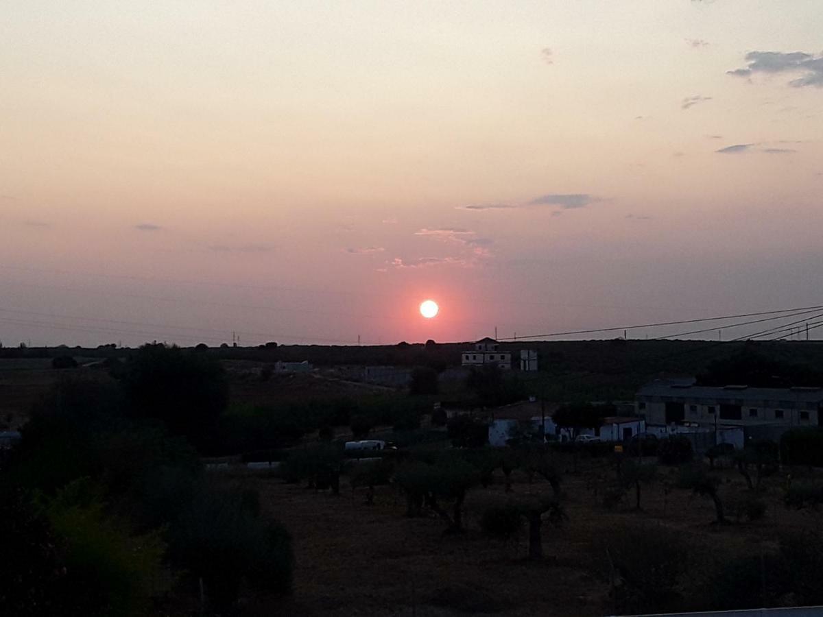 Homestay Casa Oliva 52